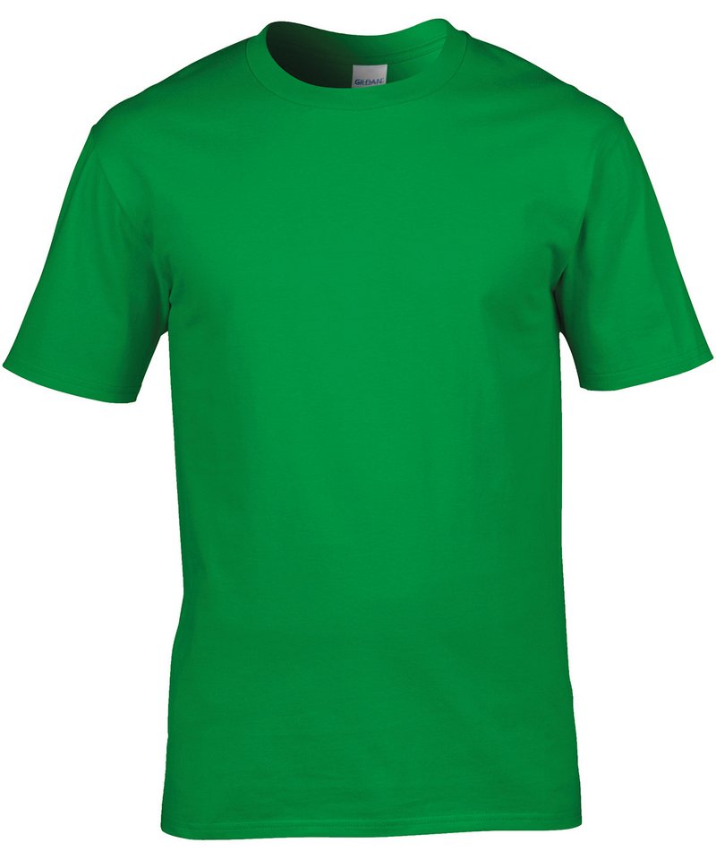Gildan t shirt - gd008 irishgreen ft